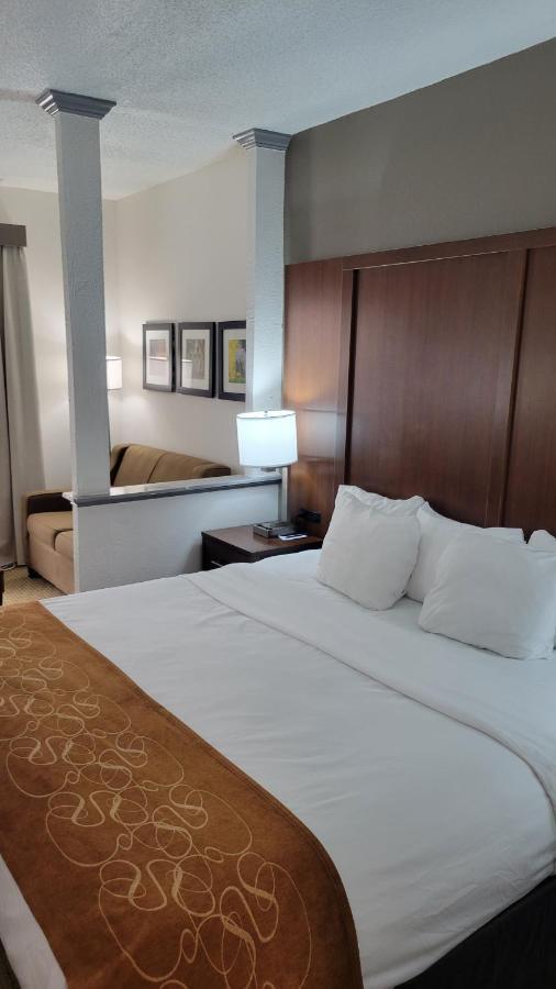 Comfort Suites Cumming-Atlanta Near Northside Hospital Forsyth Ngoại thất bức ảnh
