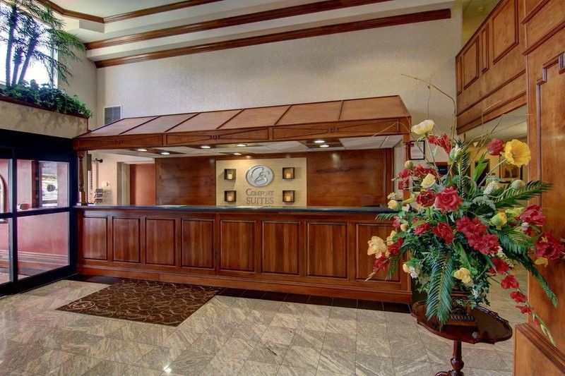 Comfort Suites Cumming-Atlanta Near Northside Hospital Forsyth Ngoại thất bức ảnh